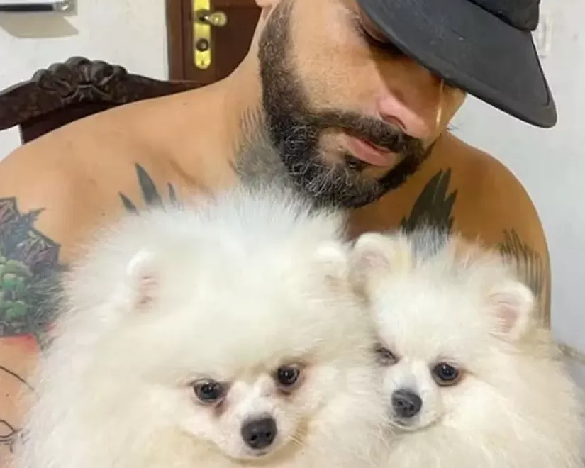 Artista recupera cães furtados durante assalto e se emociona em delegacia de Araruama