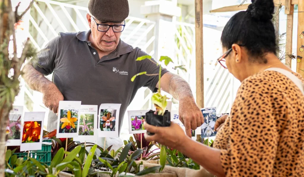 Feira da Agricultura Familiar movimenta Araçatiba neste sábado com produtos locais em Maricá